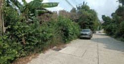 Land for sale Pratumnak