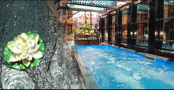 Extravagant Adult Hotel for sale Pattaya City